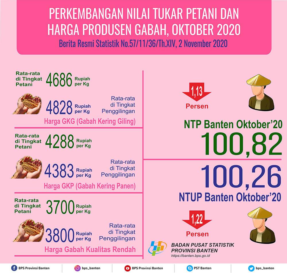 Nilai Tukar Petani (NTP) Oktober 2020 Sebesar 100,82 atau turun sebesar 1,13 persen. 