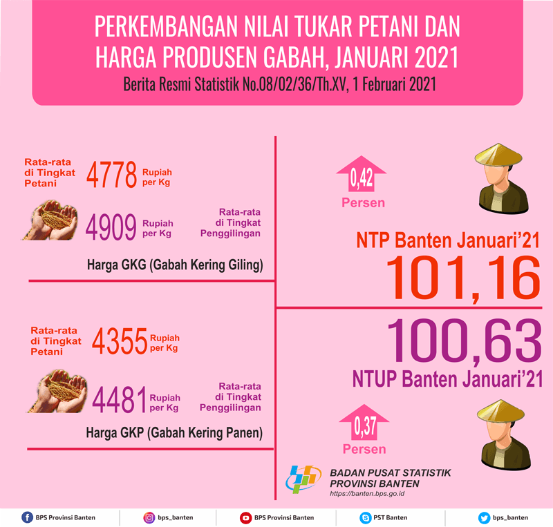 Nilai Tukar Petani (NTP) Januari 2021 Sebesar 101,16 naik 0,42 persen dari bulan sebelumnya