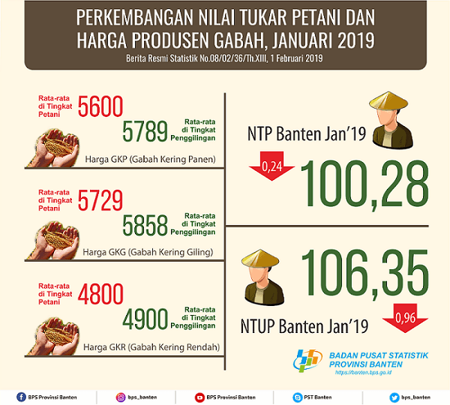 Nilai Tukar Petani (NTP) Januari 2019 Sebesar 100,28 atau Turun 0,24 Persen