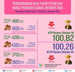 Nilai Tukar Petani (NTP) Oktober 2020 Sebesar 100,82 Atau Turun Sebesar 1,13 Persen.