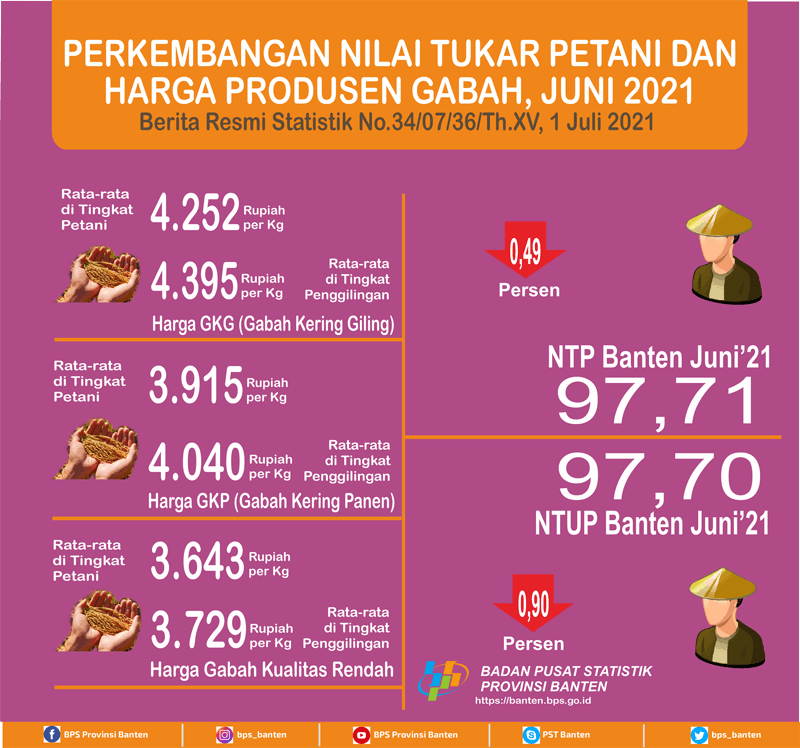 Nilai Tukar Petani (NTP) Juni 2021 Sebesar 97,71 turun 0,49 persen dari bulan sebelumnya