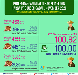 The Farmer Exchange Rate (NTP) November 2020 Was 100.82, The Same As The Previous Month