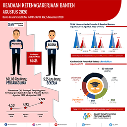 AGUSTUS 2020 Tingkat Pengangguran Terbuka (TPT) Sebesar 10,64 Persen.