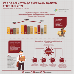 Februari 2021 Tingkat Pengangguran Terbuka (TPT) Sebesar 9,01 Persen