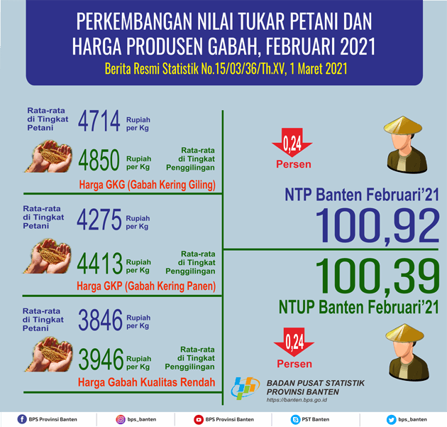 Farmer Exchange Rate (NTP) February 2021 of 100.92 decreased 0.24 percent from the previous month