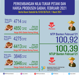 Nilai Tukar Petani (NTP) Februari 2021 Sebesar 100,92 Turun 0,24 Persen Dari Bulan Sebelumnya