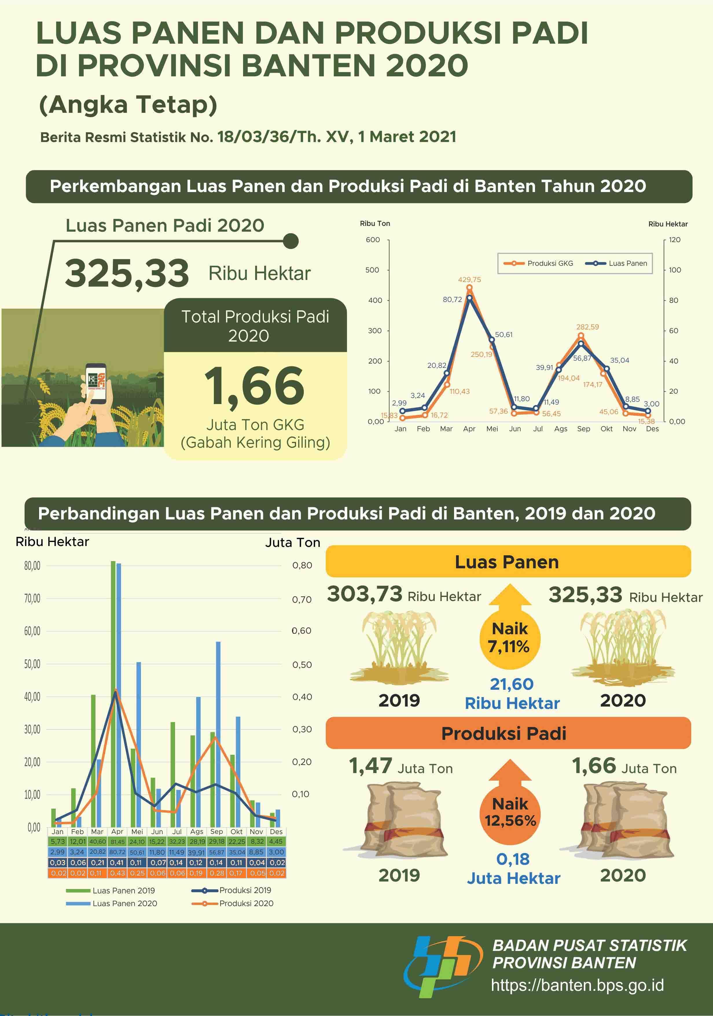 Pada 2020, luas panen padi sebesar 325,33 ribu hektar dengan produksi sebesar 1,66 juta ton GKG. Jika dikonversikan menjadi beras, produksi beras pada 2020 mencapai 937,81 ribu ton.